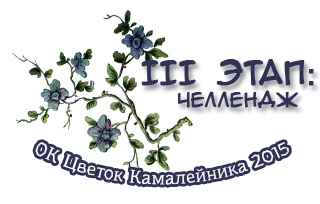 ОК Цветок Камалейника 2015