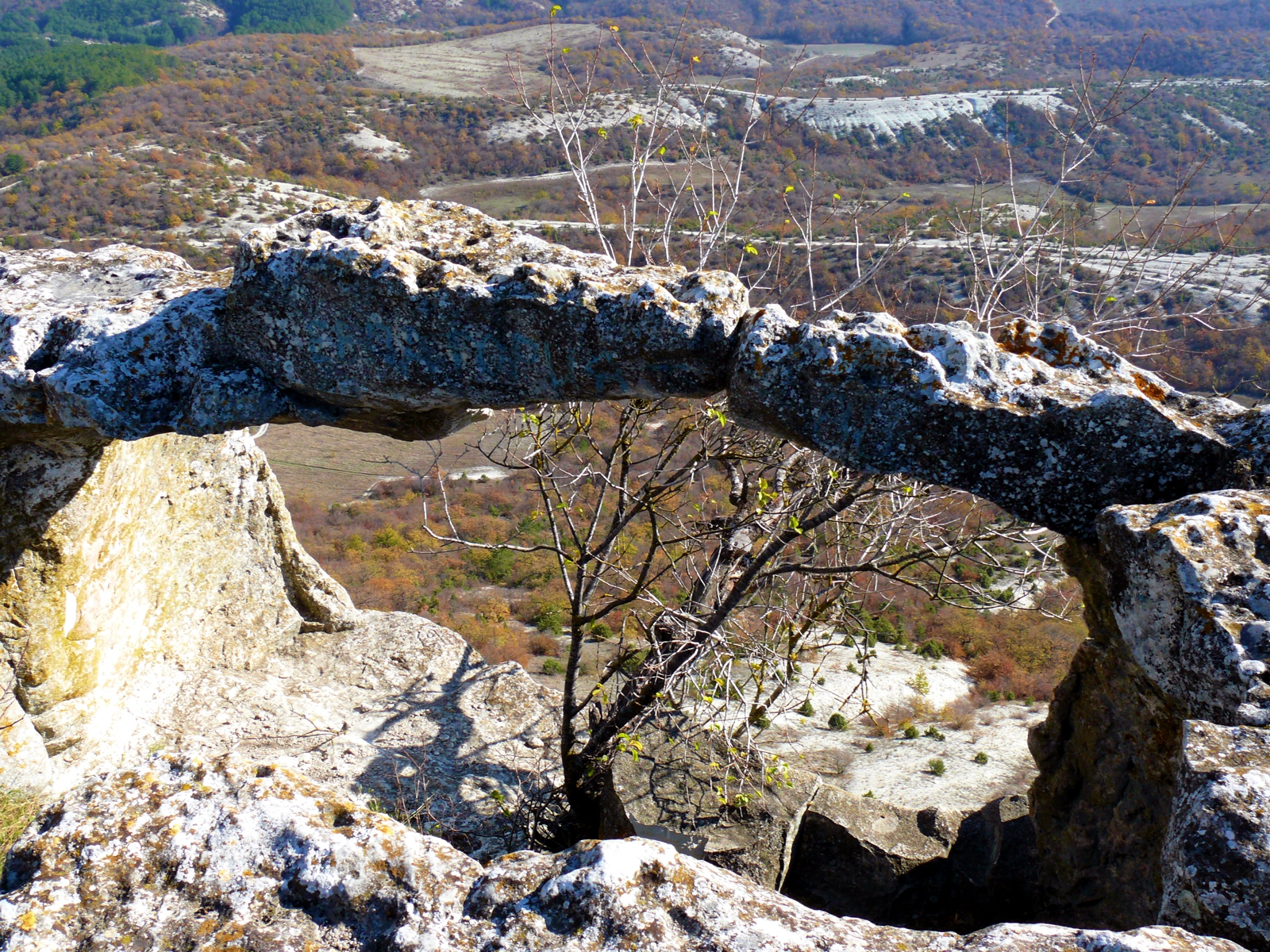 Чайная беседка