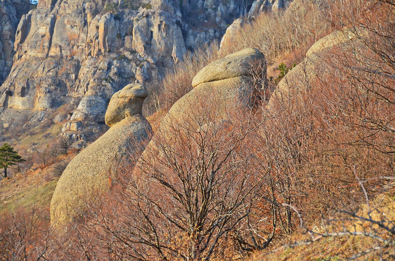Чайная беседка