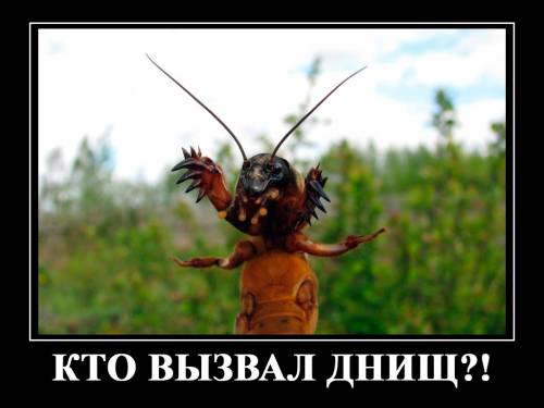 d7e4620b36c7ab7e3a016a781ed3bf97.jpg
