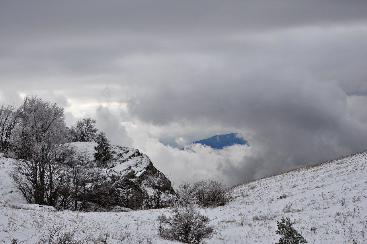 Чайная беседка