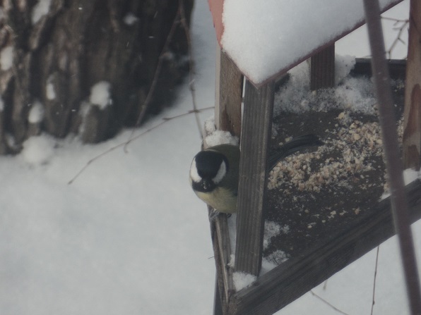 SAM_1613.JPG | Не добавлены