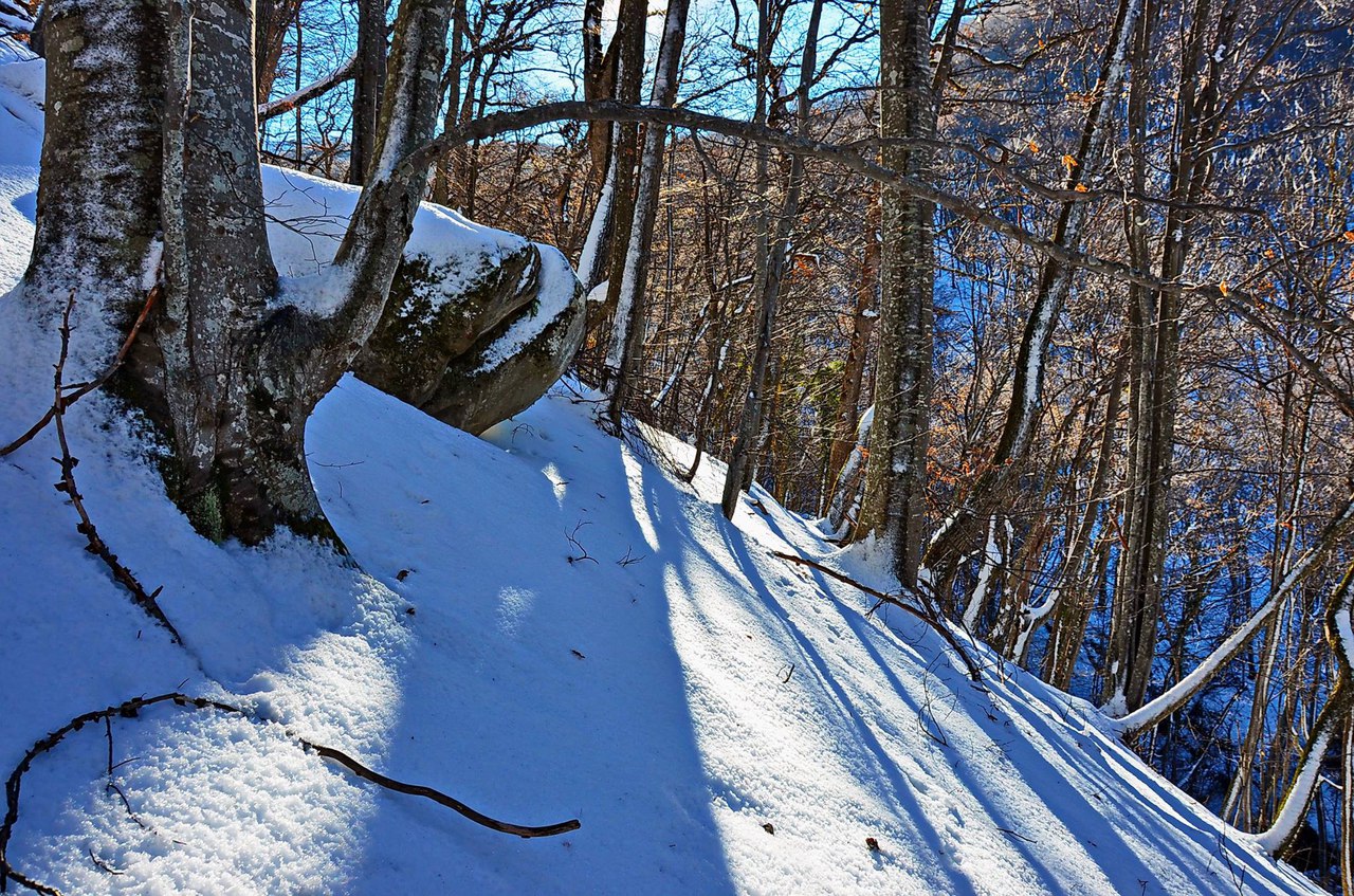 Чайная беседка