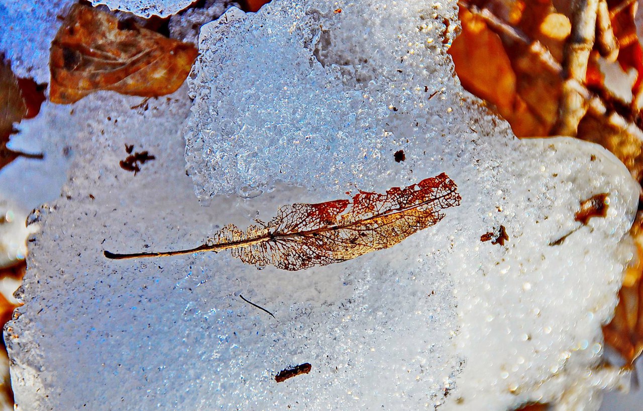 Чайная беседка