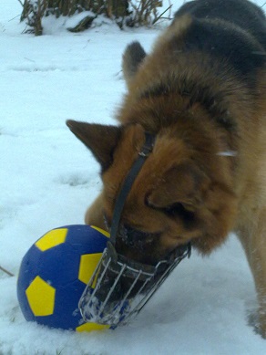 02012016408.jpg | Не добавлены