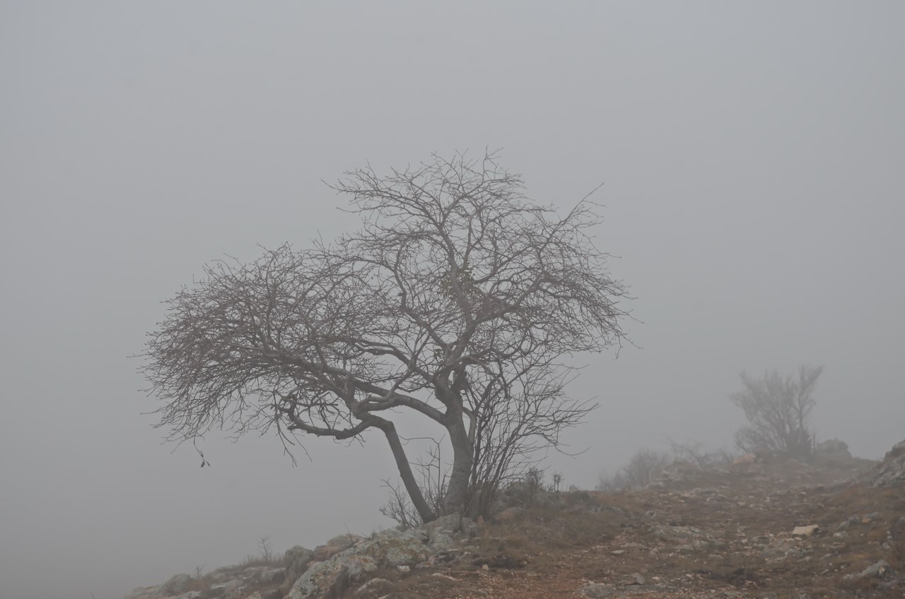 Чайная беседка