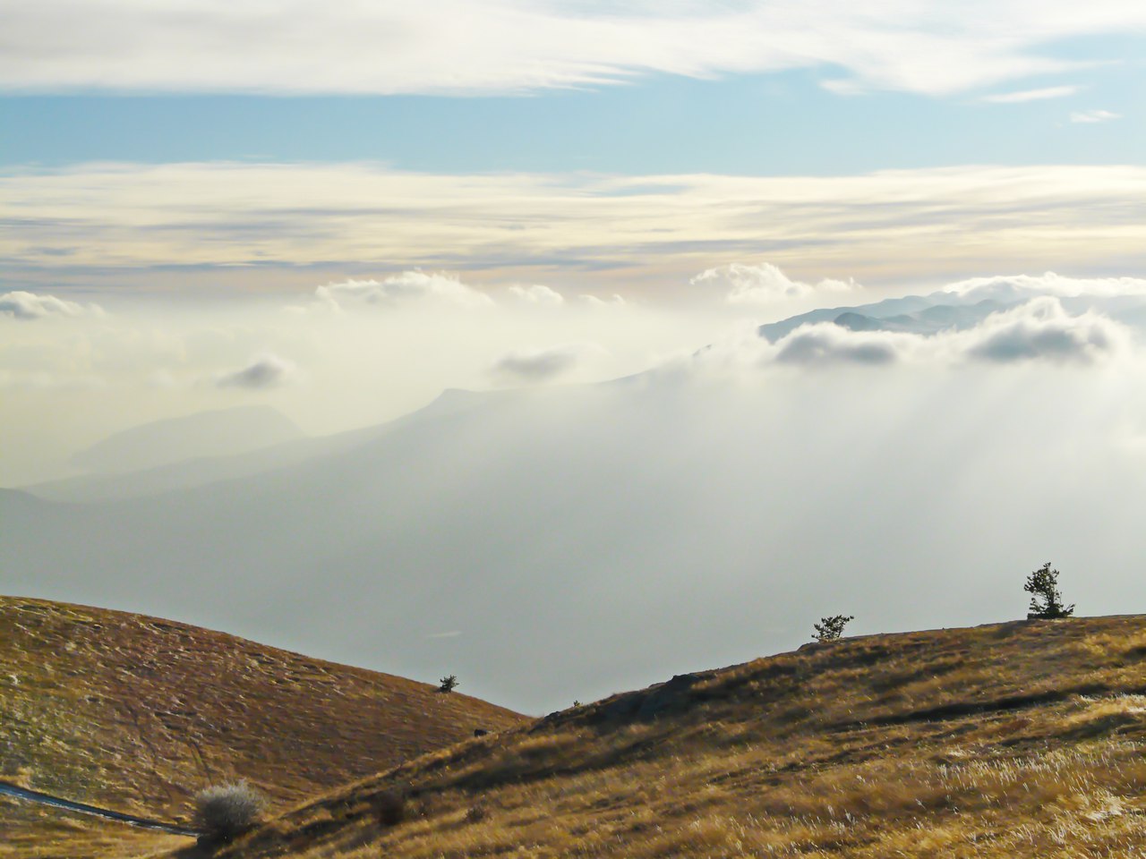 Чайная беседка