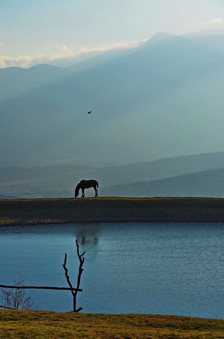 Чайная беседка