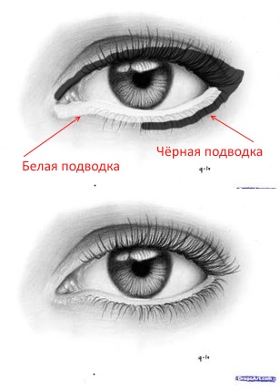 12d32bc83aaa575912fd3fdf99341341.jpg