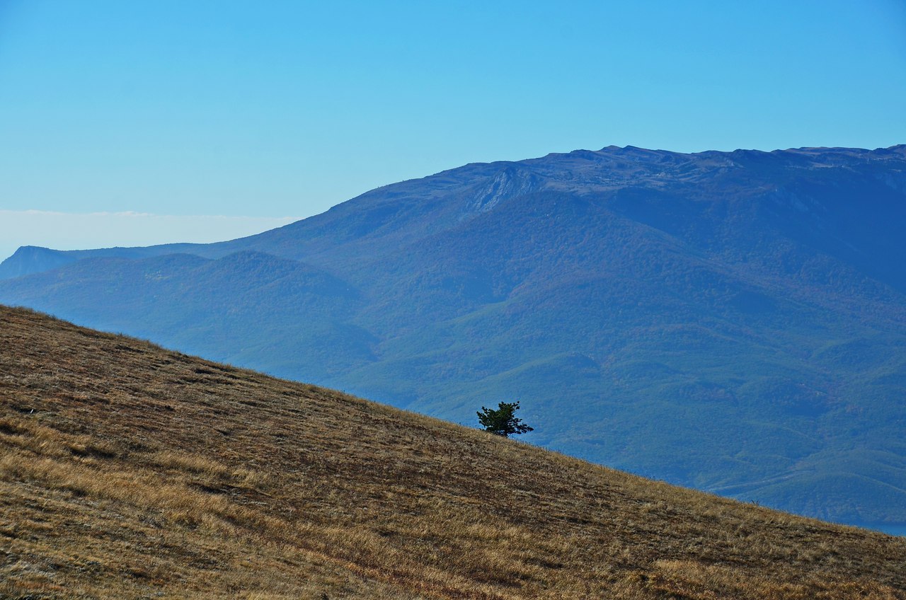 Чайная беседка