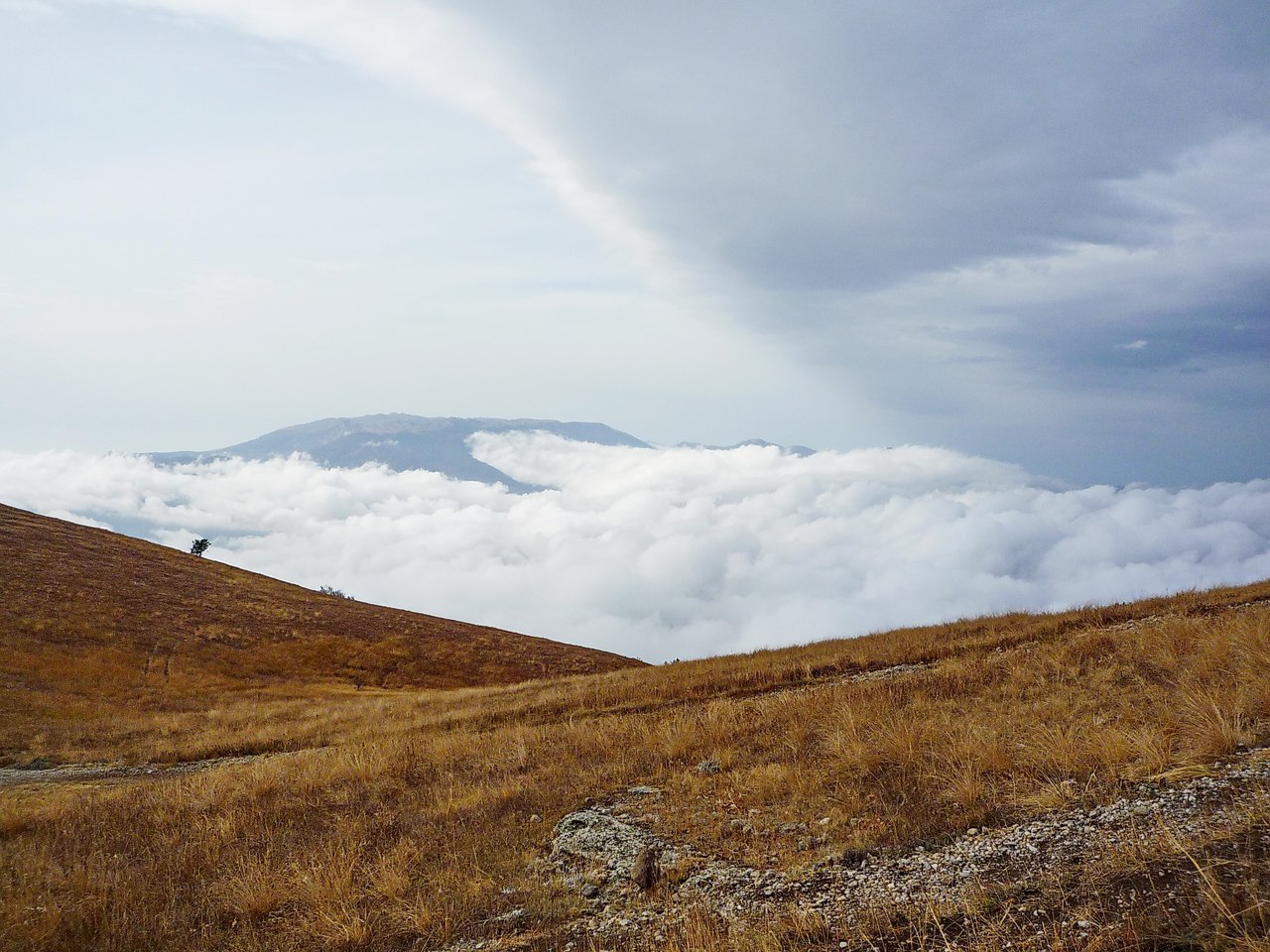 Чайная беседка