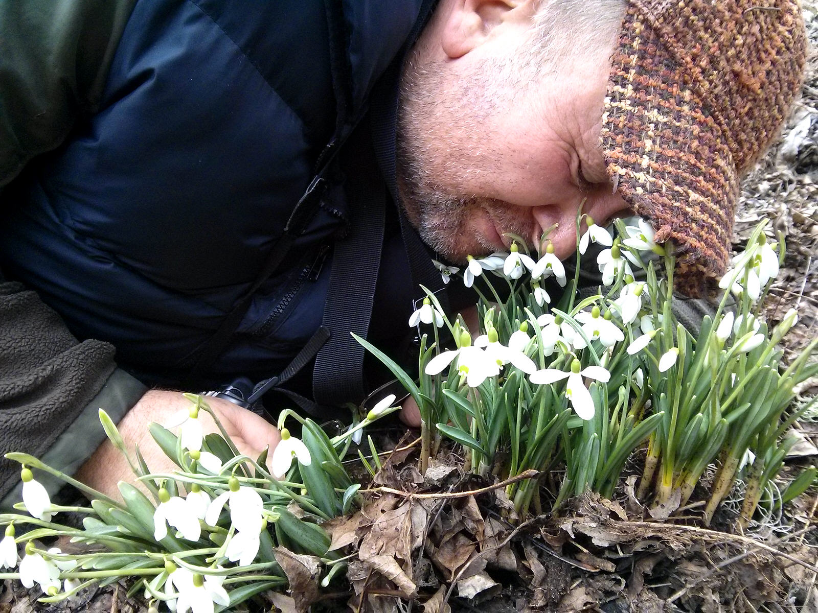 Чайная беседка