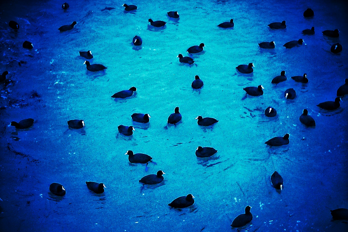 Чайная беседка