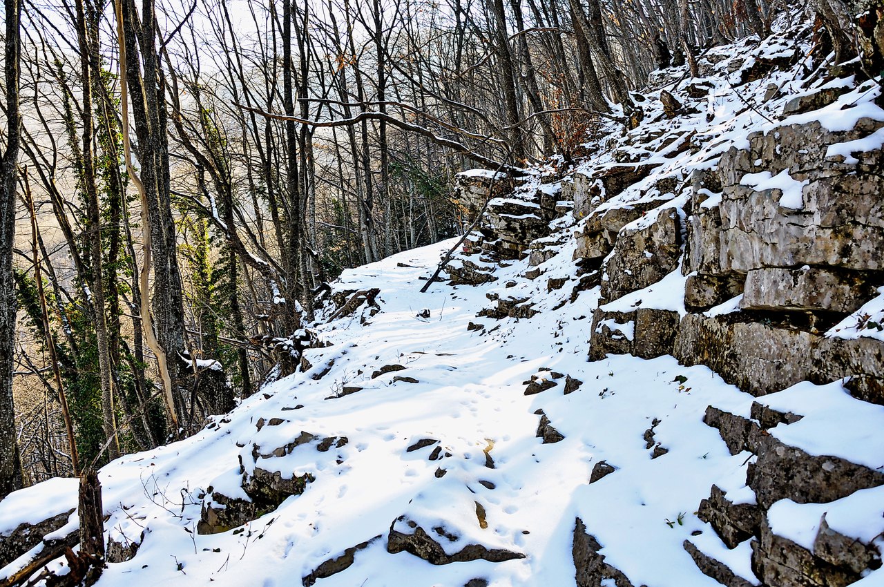Чайная беседка