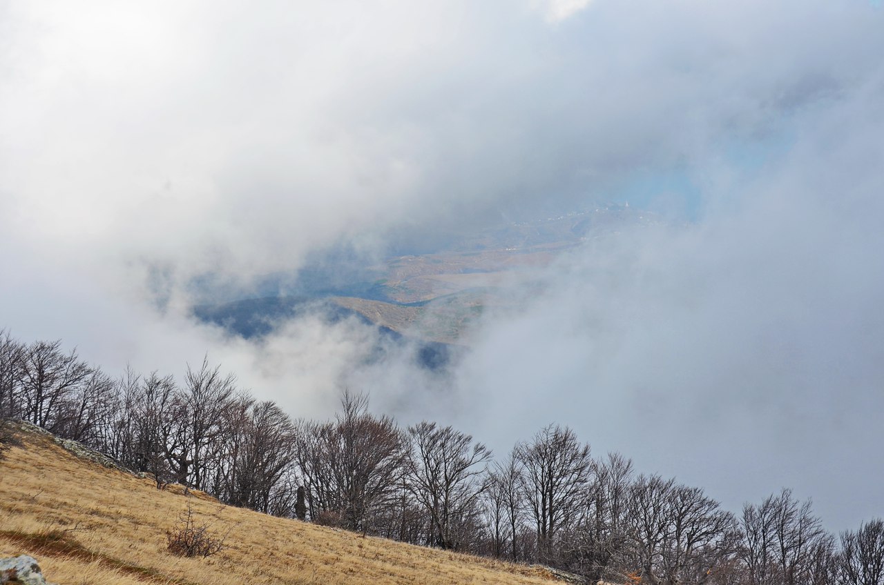 Чайная беседка
