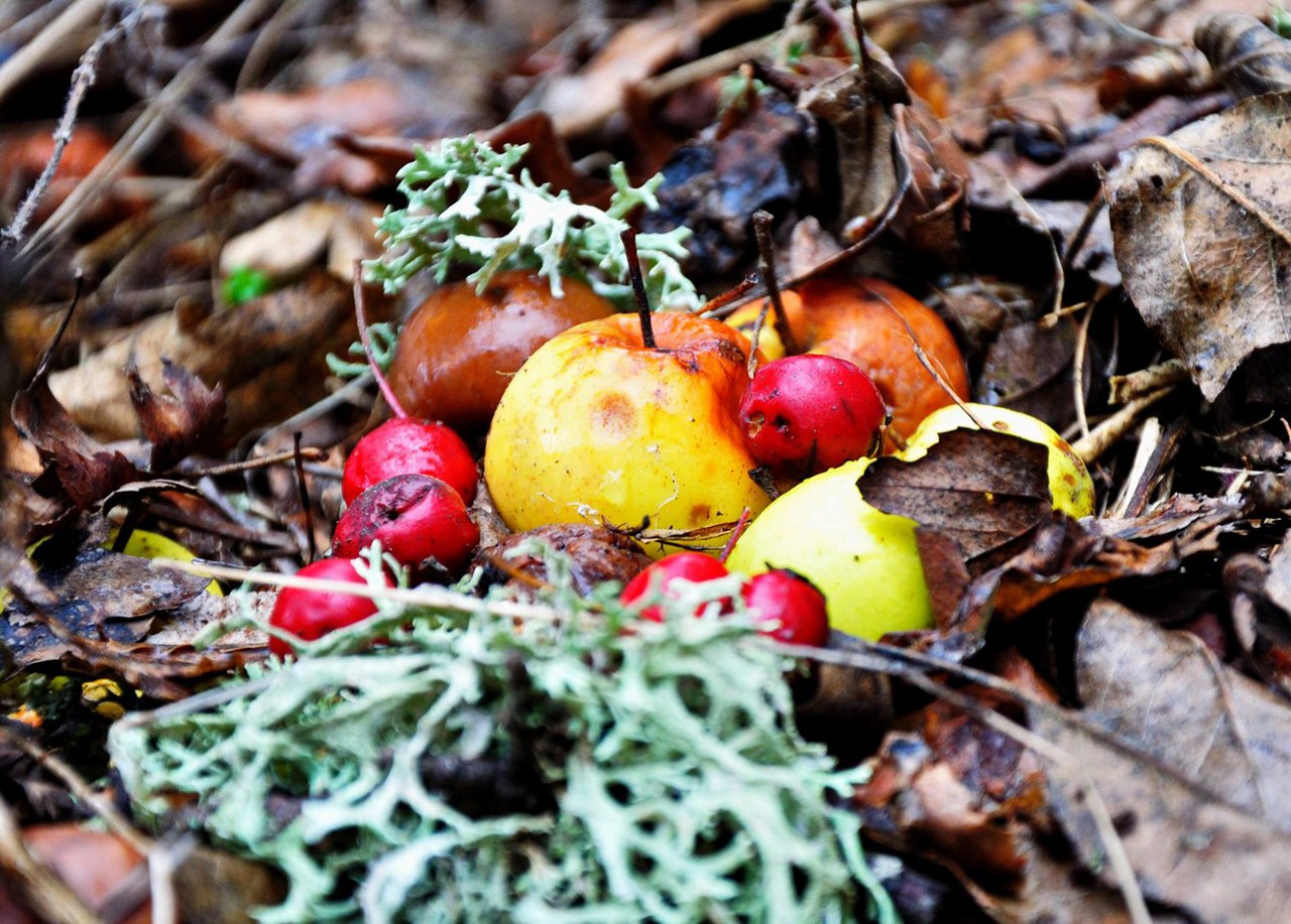 Чайная беседка