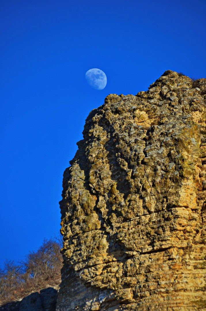 Чайная беседка