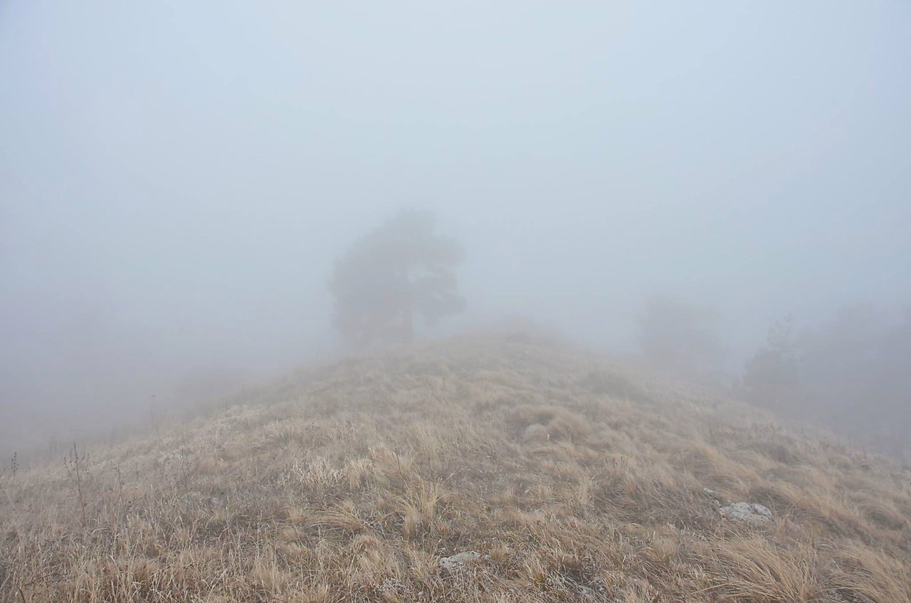 Чайная беседка