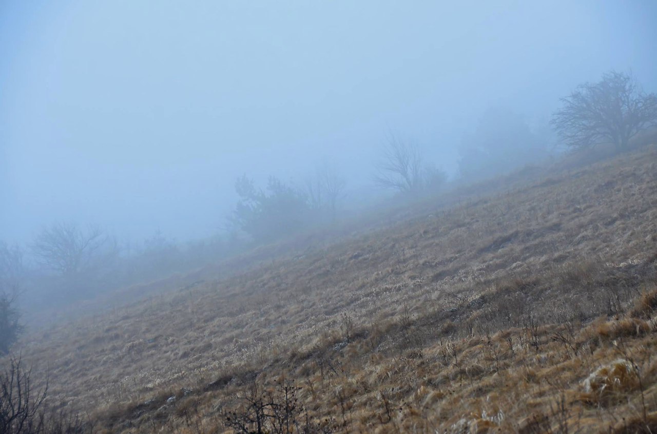 Чайная беседка