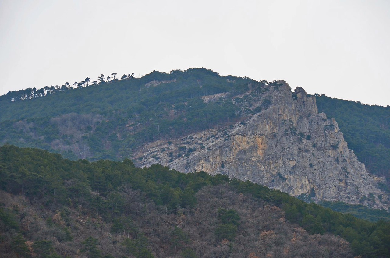 Чайная беседка