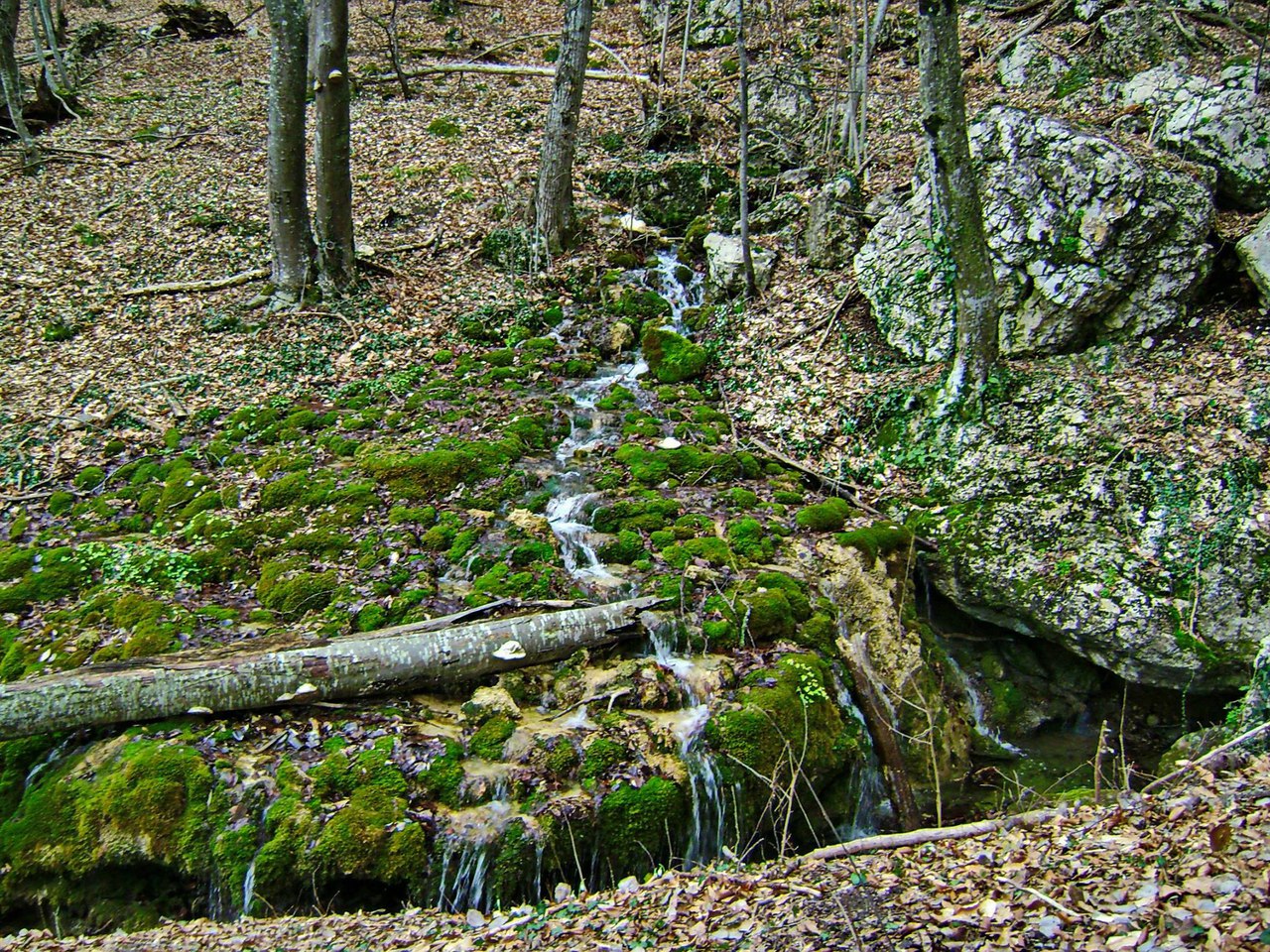 Чайная беседка