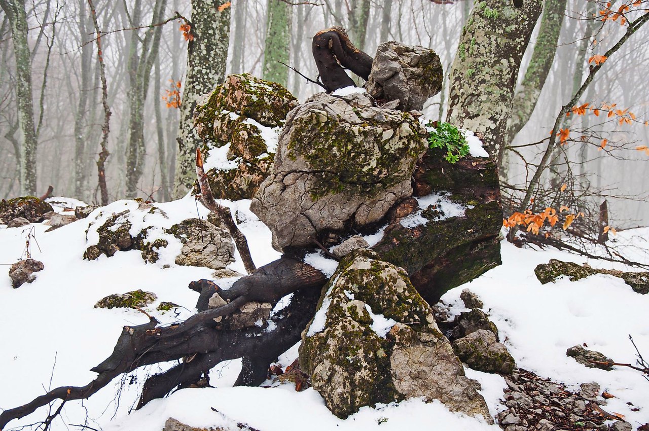 Чайная беседка