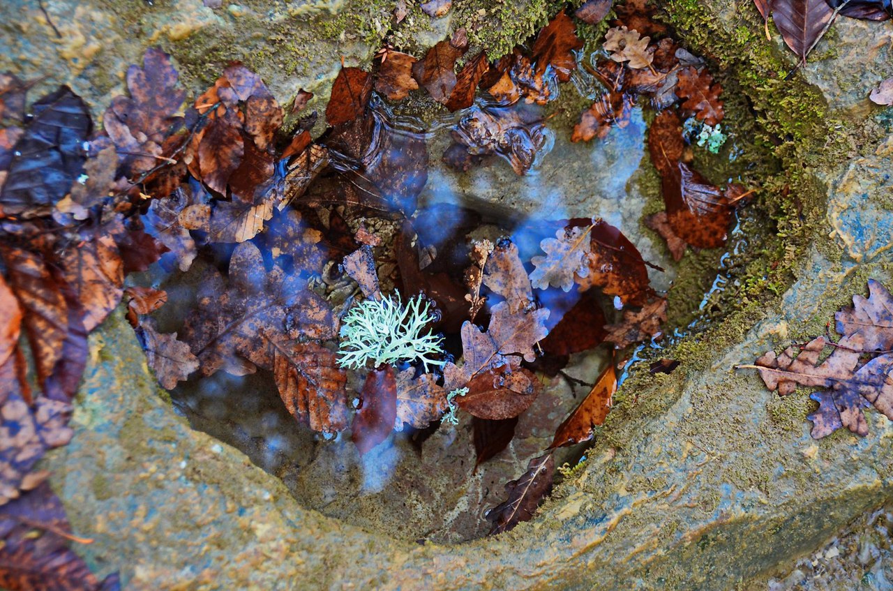 Чайная беседка