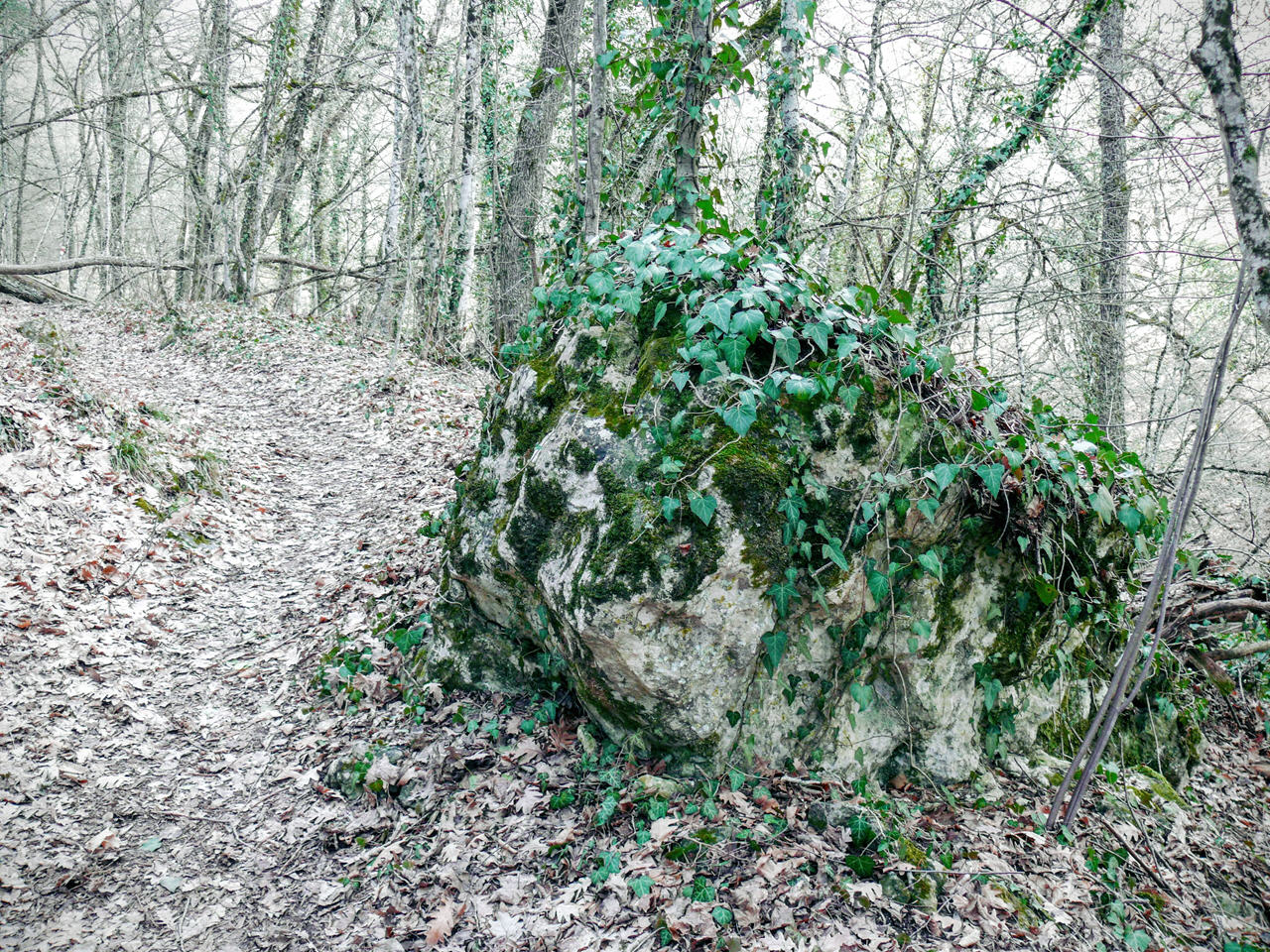 Чайная беседка