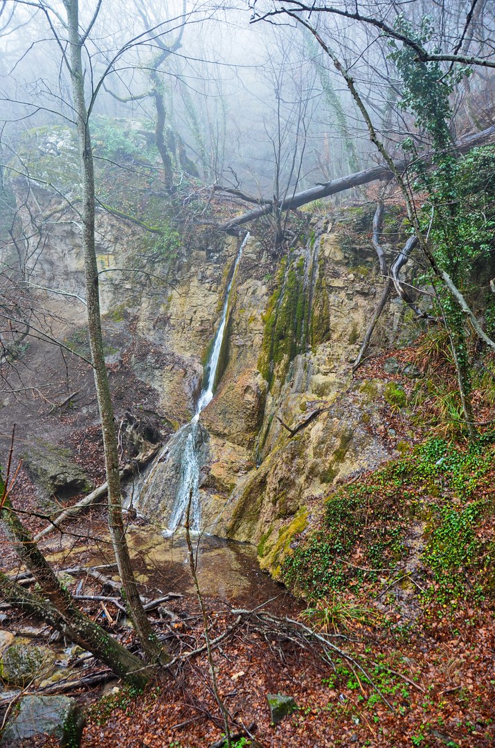 Чайная беседка