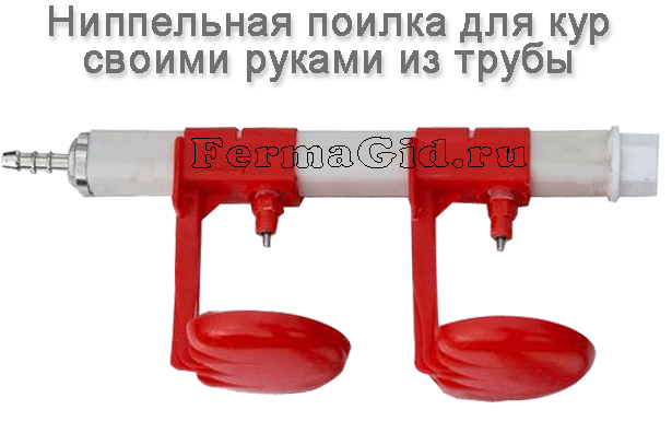 Как сделать ниппельную поилку для кур