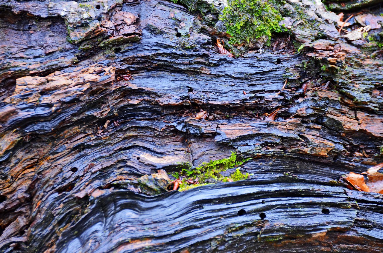 Чайная беседка