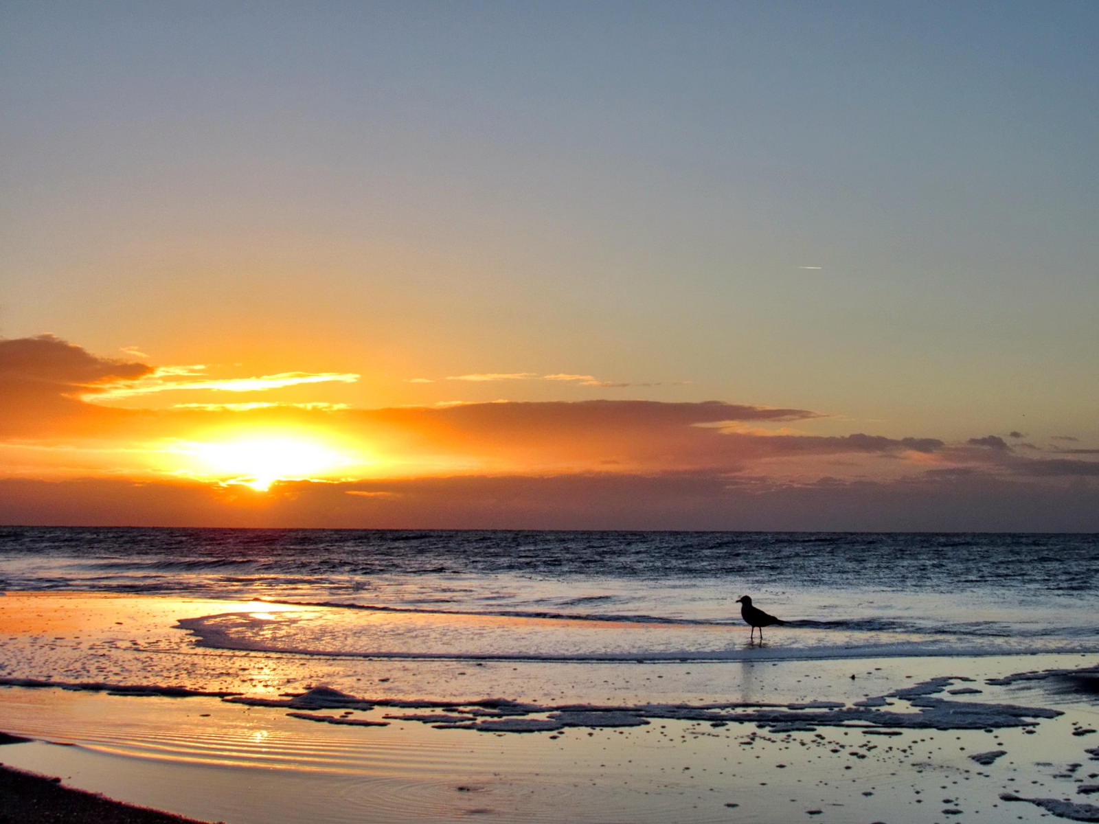 Чайная беседка