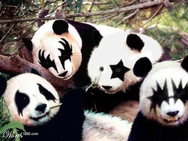 Злые панды