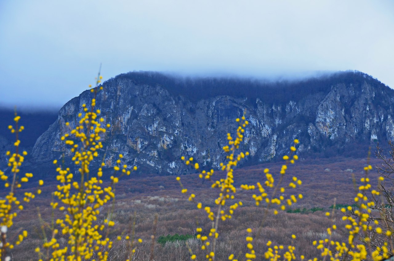 Чайная беседка