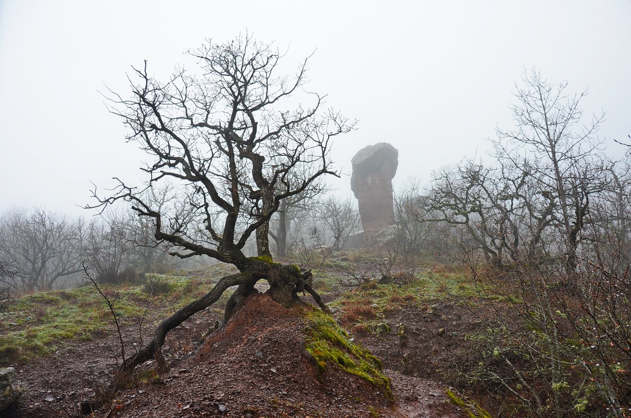 Чайная беседка