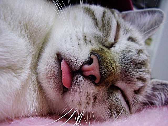 Дмитрий Попов ищет новичков для Спартака