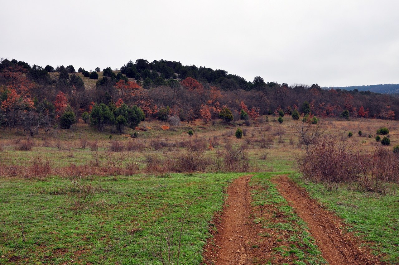 Чайная беседка