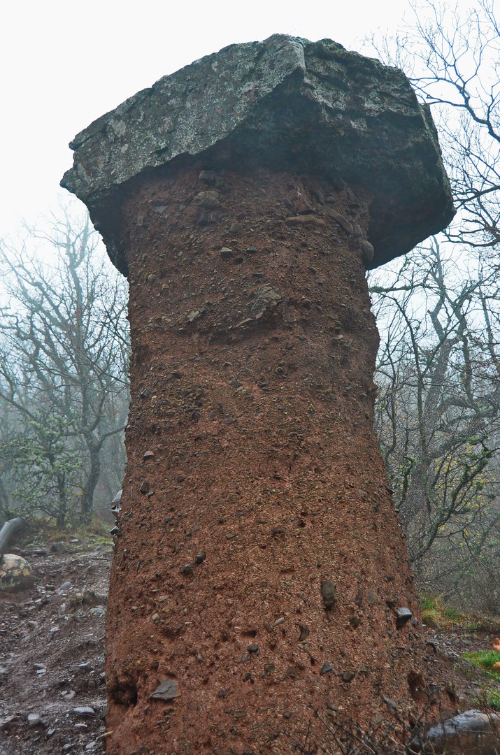 Чайная беседка