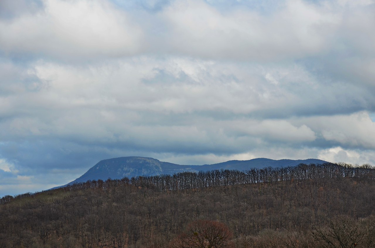 Чайная беседка