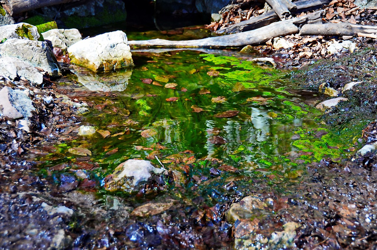 Чайная беседка