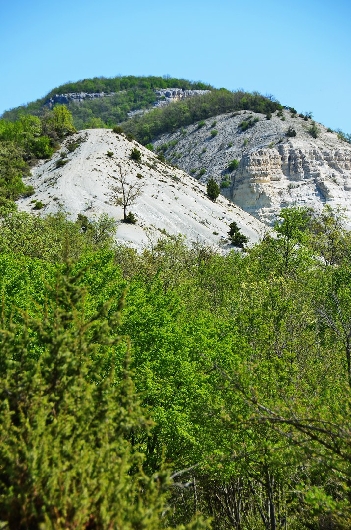 Чайная беседка