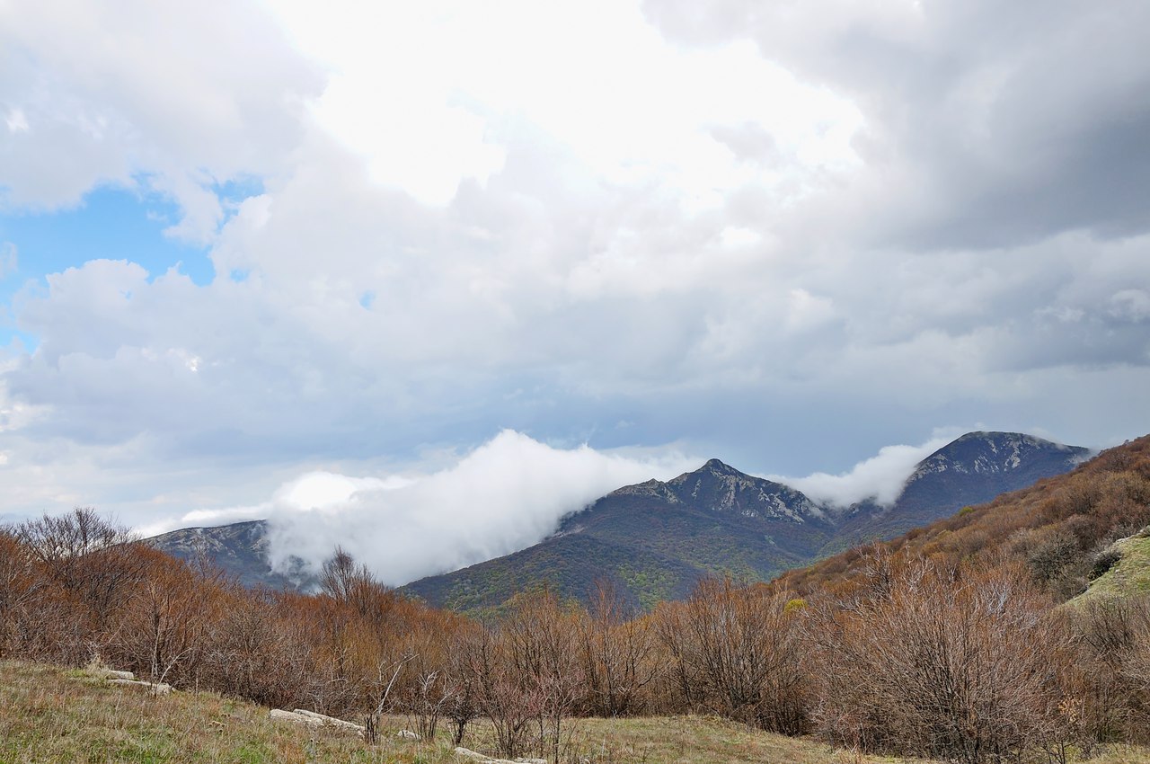 Чайная беседка