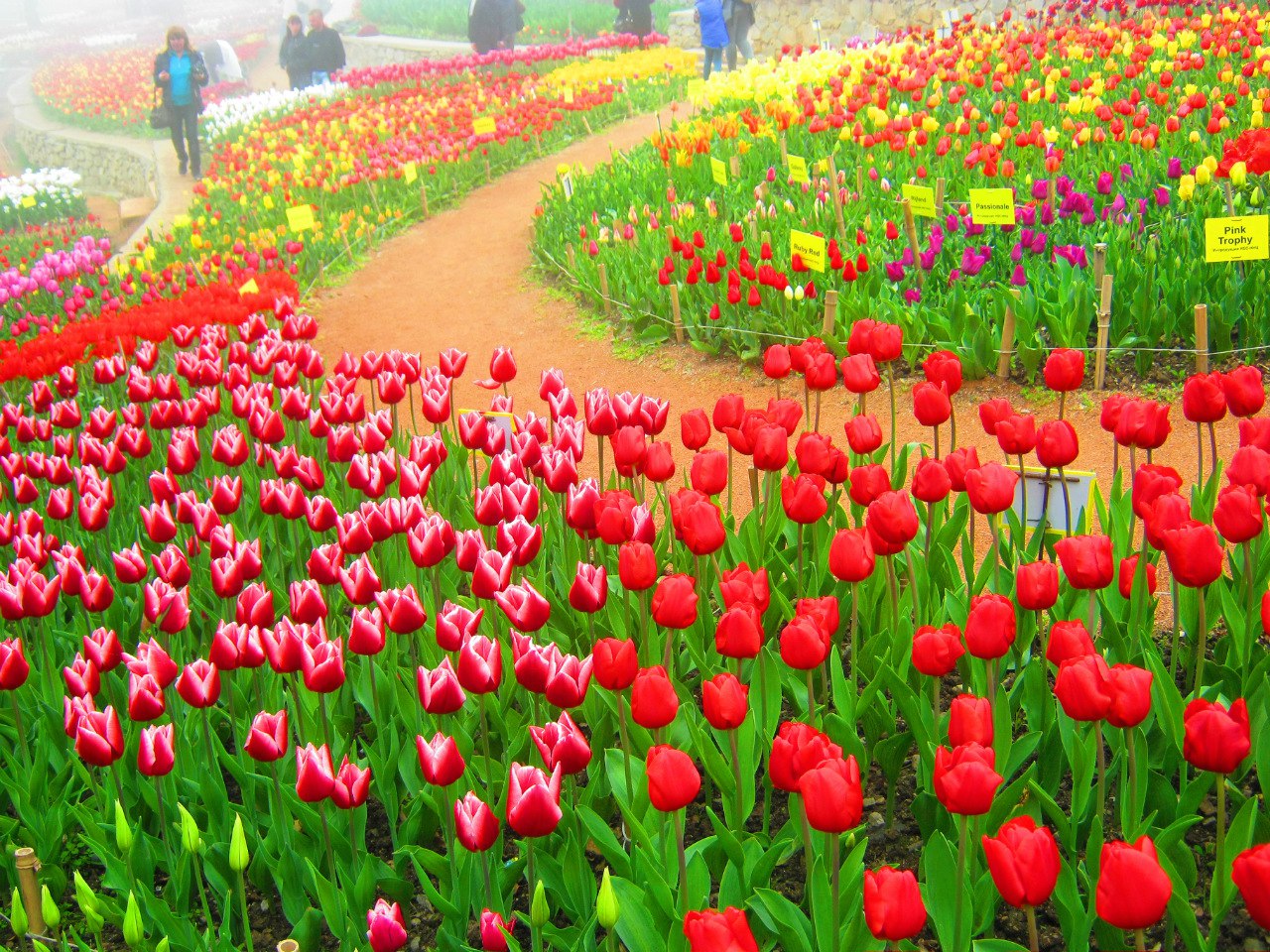 Чайная беседка