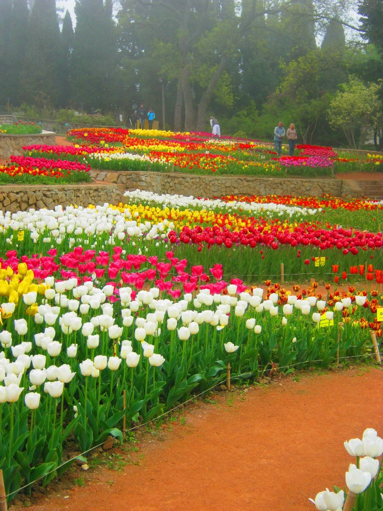 Чайная беседка