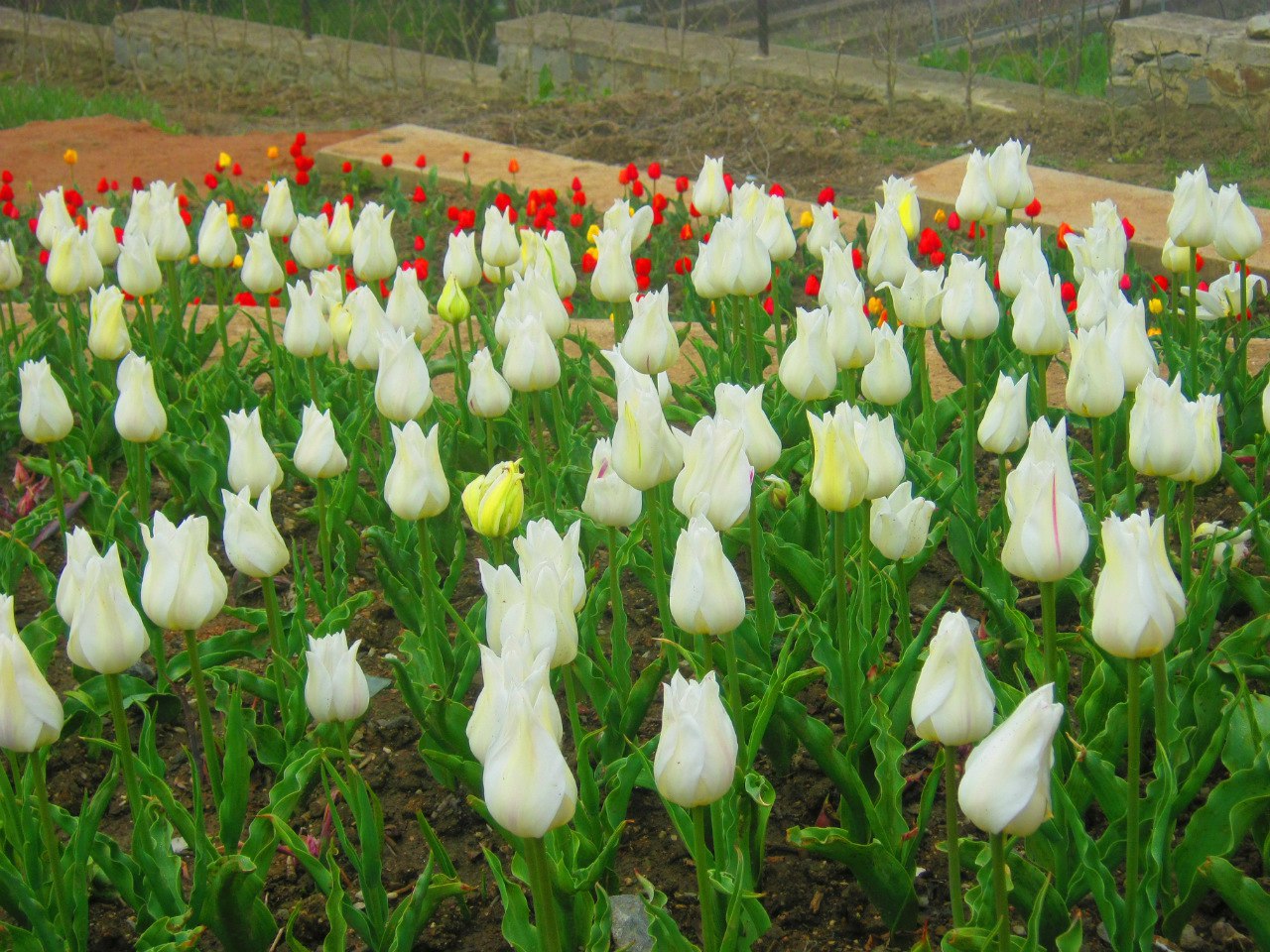 Чайная беседка