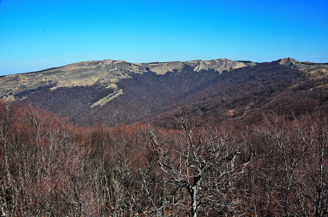 Чайная беседка