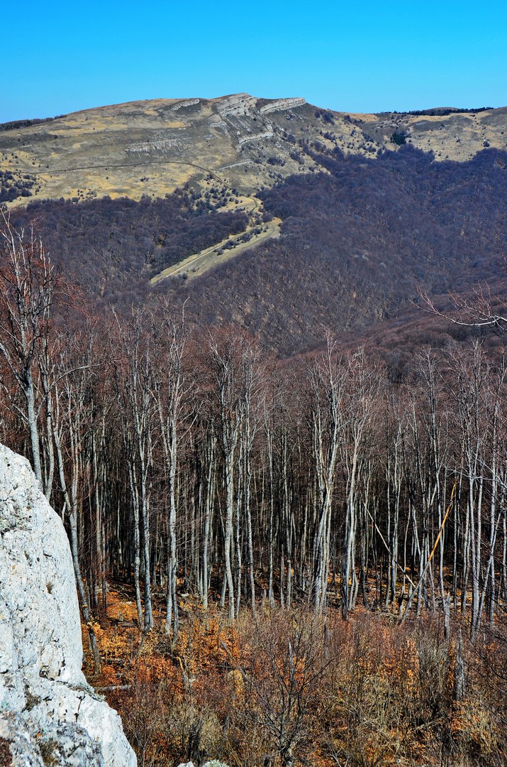 Чайная беседка