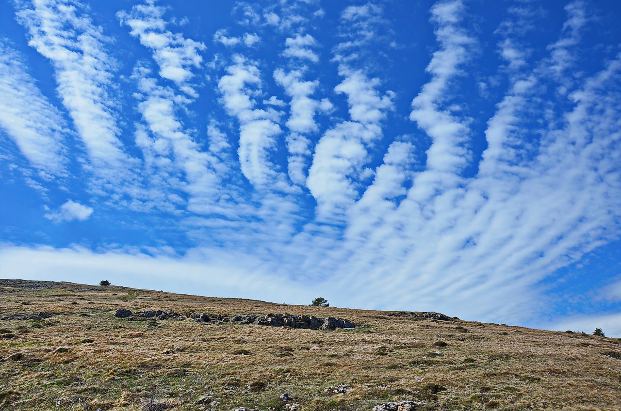 Чайная беседка