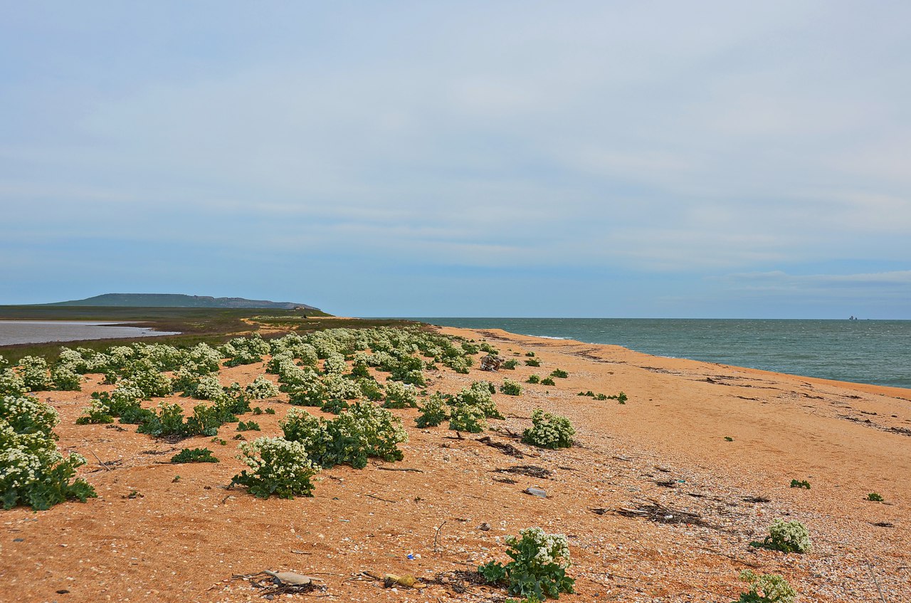 Чайная беседка