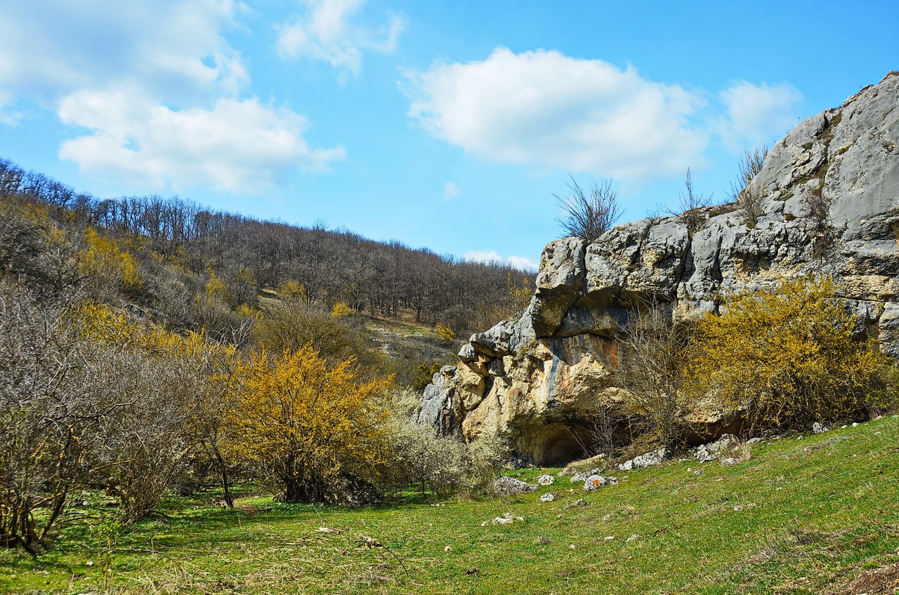 Чайная беседка